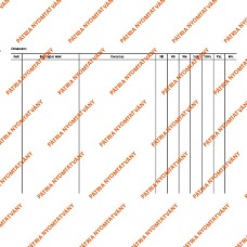 Decursus lap 203x140 mm