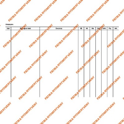 Decursus lap 203x140 mm