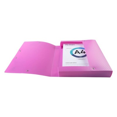 Füzetbox PP Exacompta Forever Young A/4 40 mm gerinccel vegyes színek