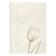 Jegyzetfüzet Clairefontaine Tulip paper, A/5, 14,8x21cm, 64 lapos, pontozott